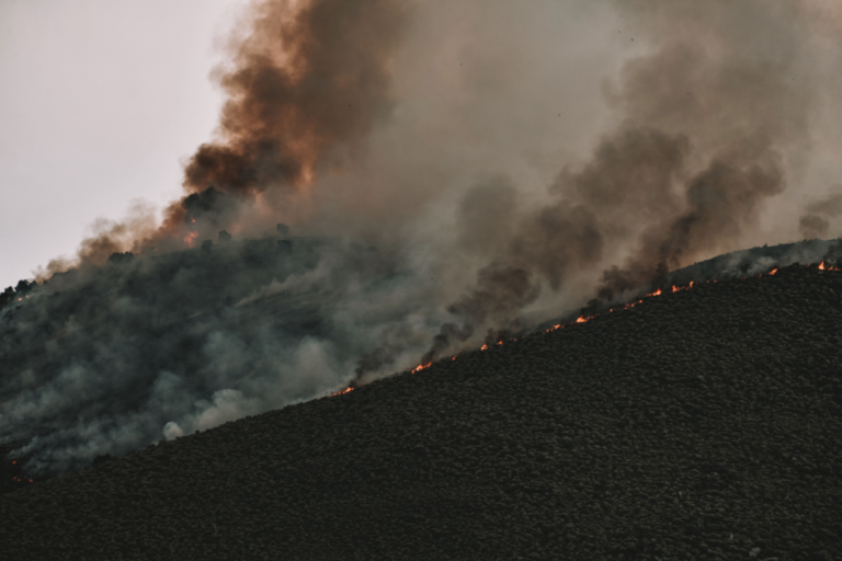 Incendios forestales: respuestas laborales ante una situación de emergencia